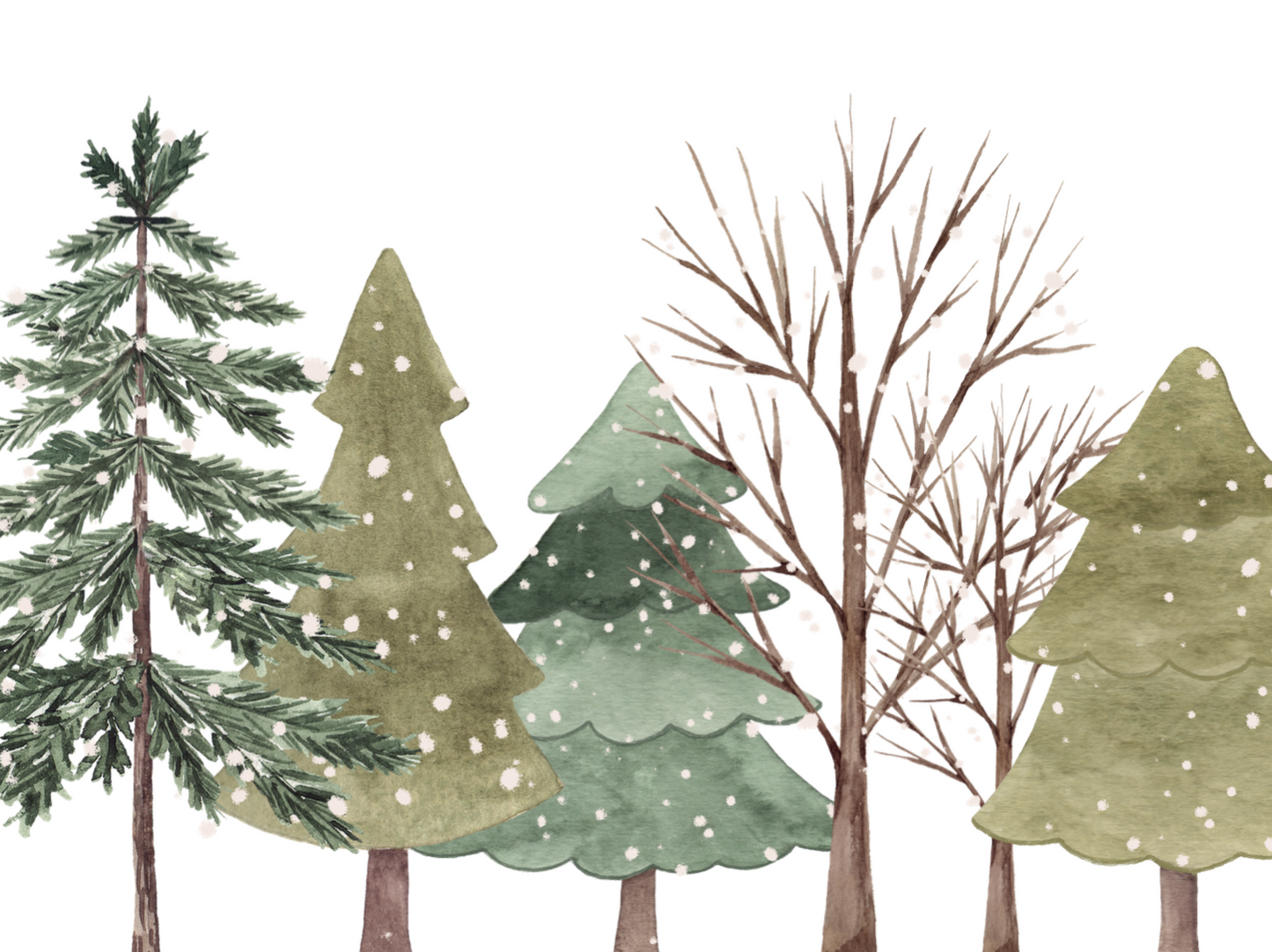 Set individuales Winter