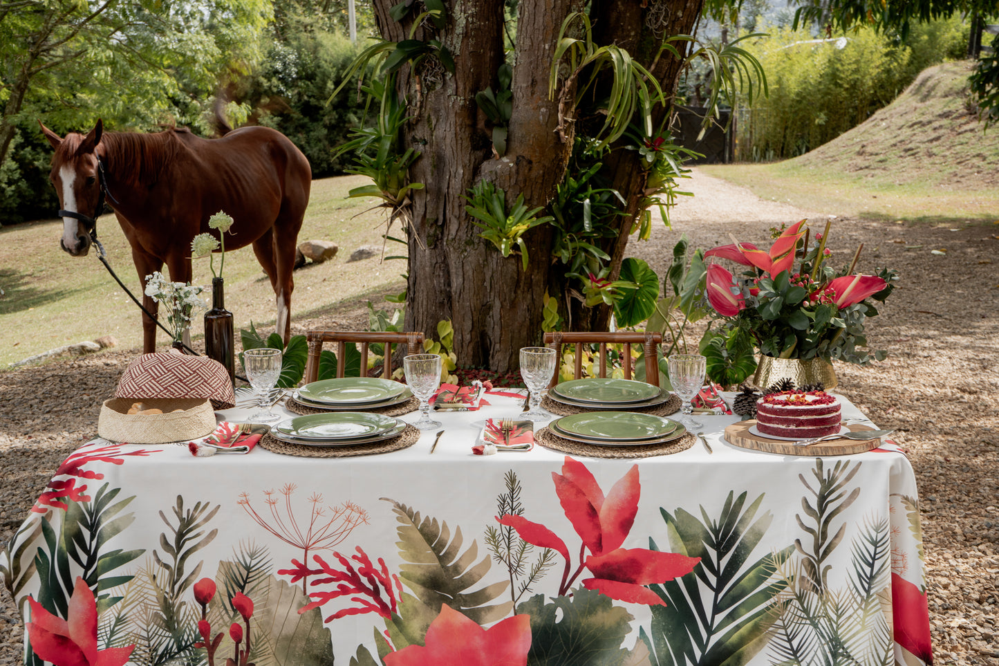 Kit Mantel Evergreen + Regalo