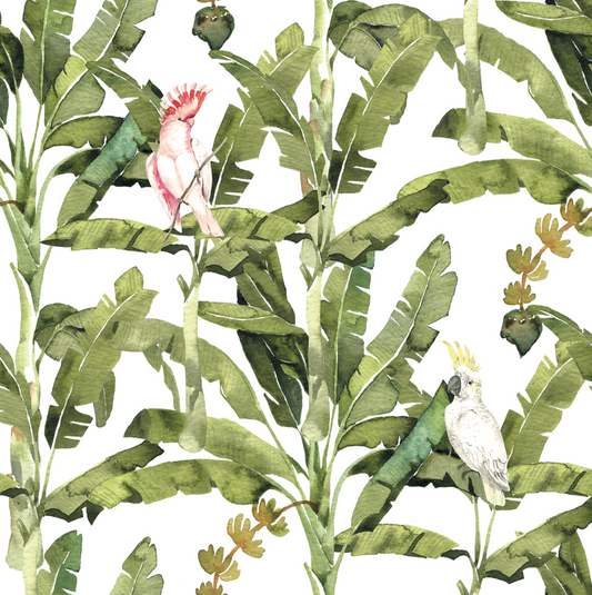 Set servilletas Amazonas