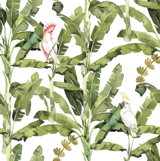 Set servilletas Amazonas - OSLÉ home decor