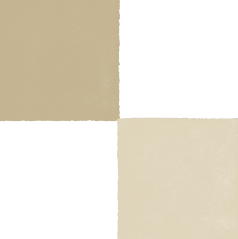 Set servilletas Duo Beige