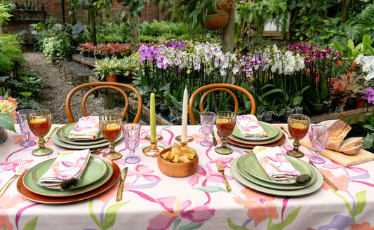 Mantel Orchid