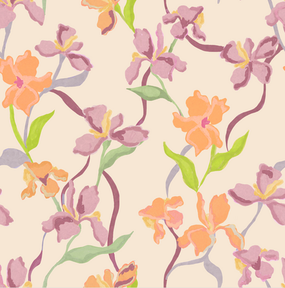 Mantel Orchid
